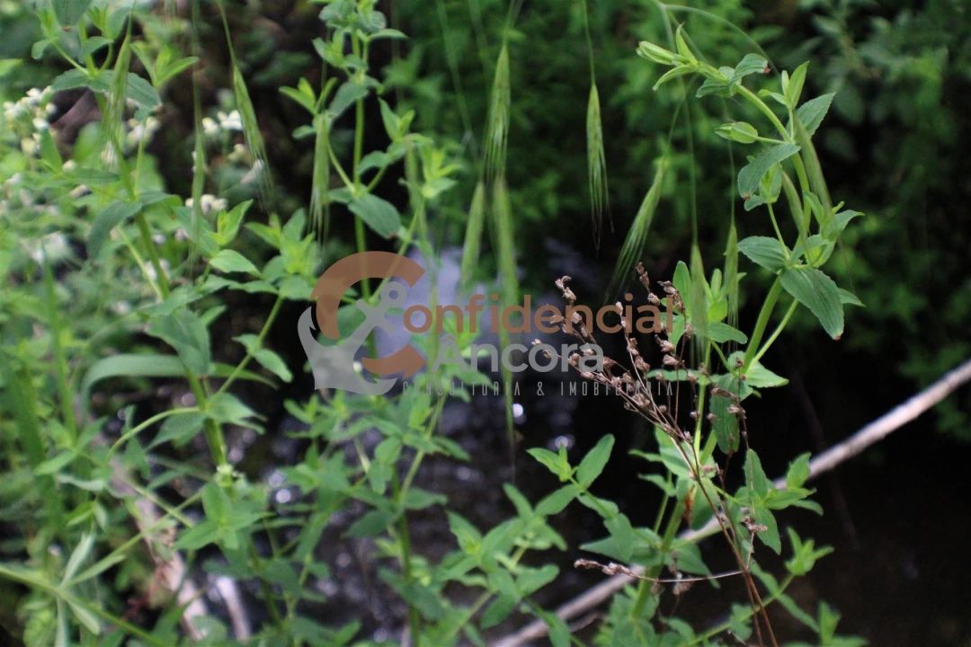 Terreno para Venda em Moimenta da Serra e Vinhó Foto 19