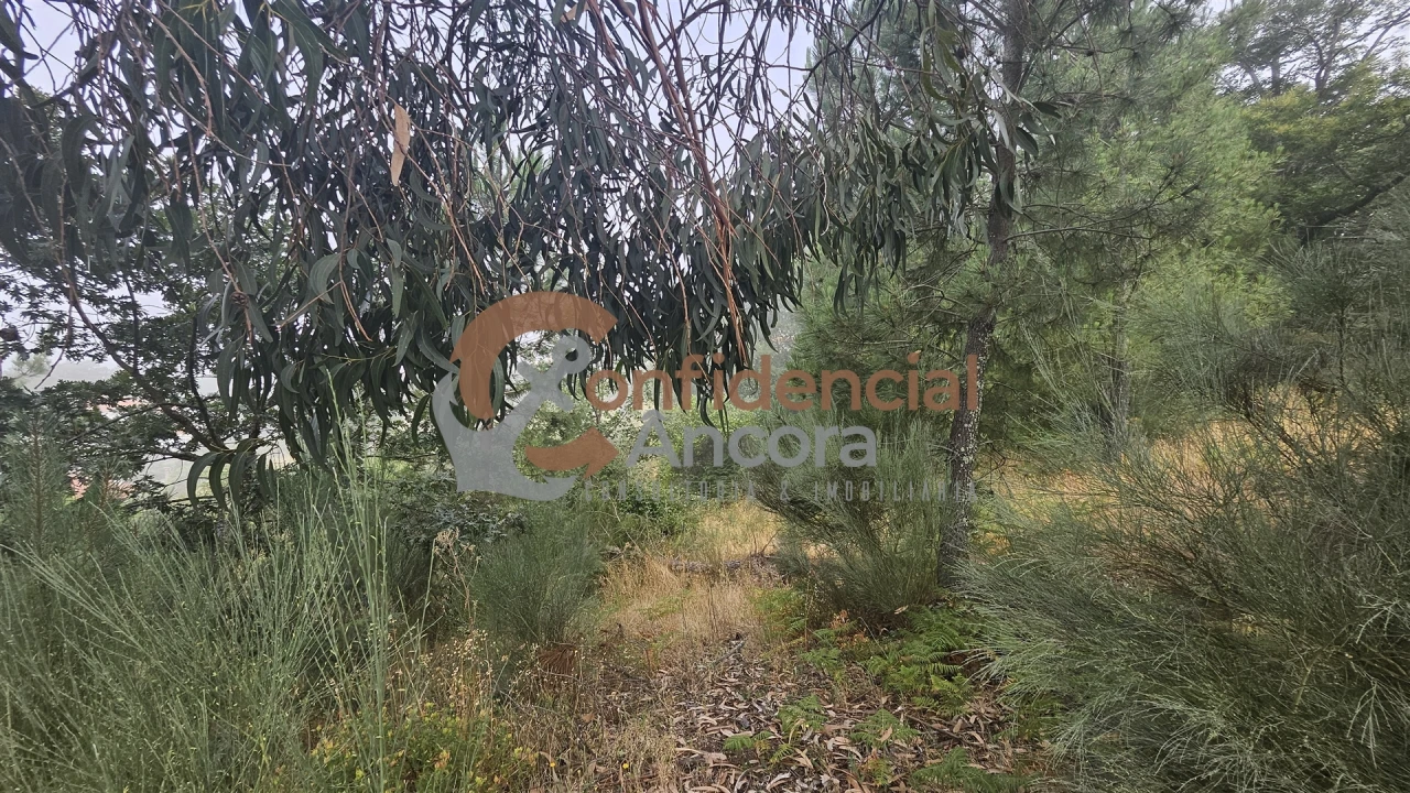 Terreno para Venda em Aldeias e Mangualde da Serra Foto 13