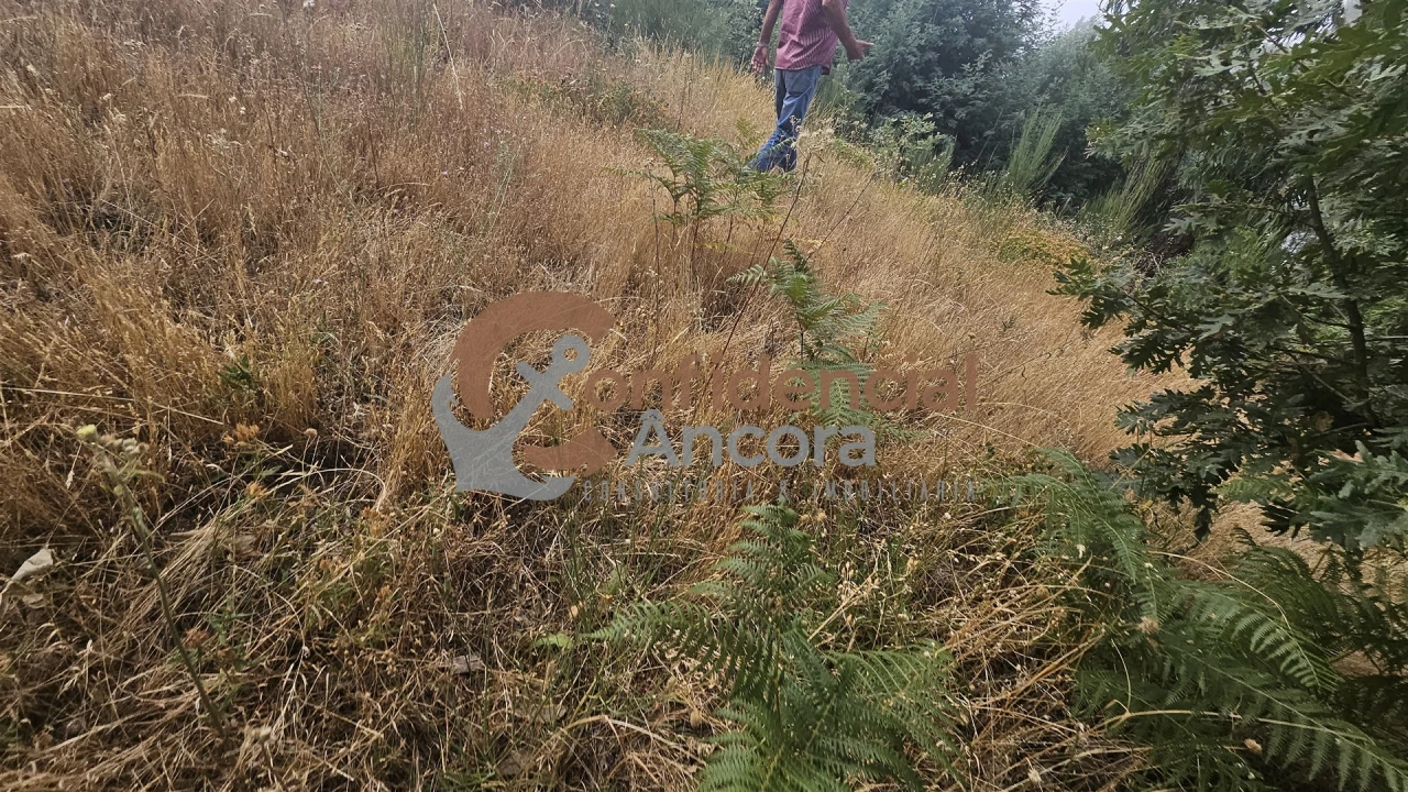 Terreno para Venda em Aldeias e Mangualde da Serra Foto 6