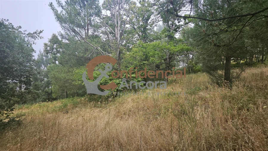 Terreno para Venda em Aldeias e Mangualde da Serra Foto 5