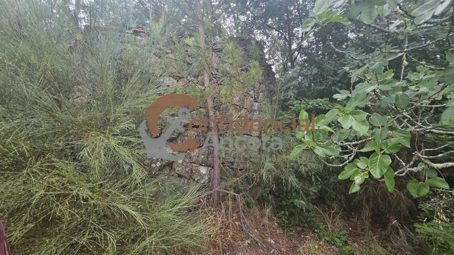 Terreno para Venda em Aldeias e Mangualde da Serra Foto 9