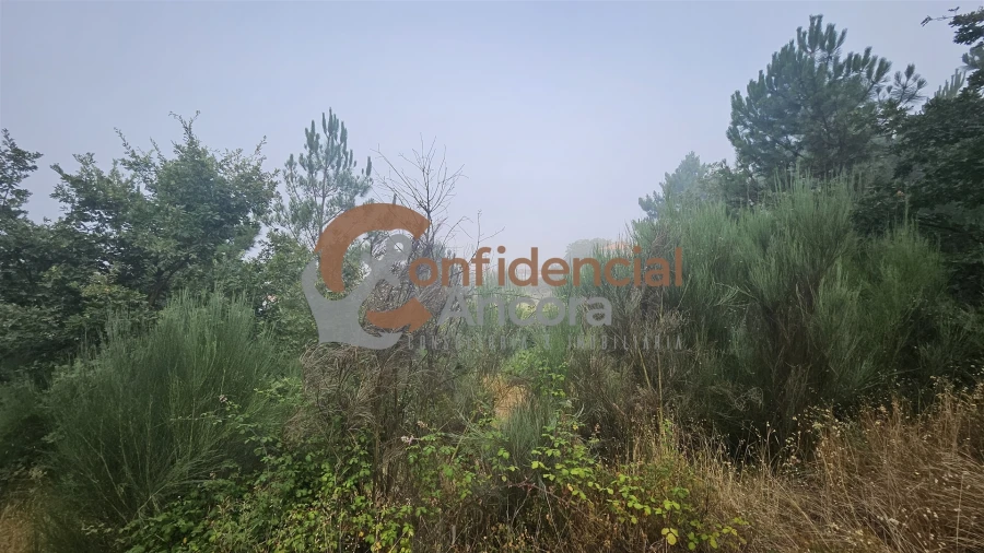 Terreno para Venda em Aldeias e Mangualde da Serra Foto 12