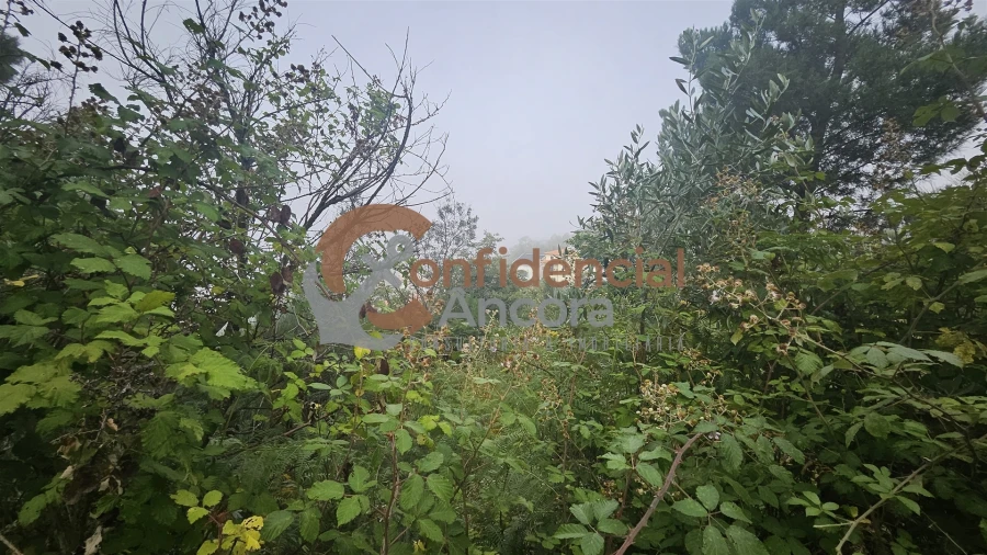 Terreno para Venda em Aldeias e Mangualde da Serra Foto 10