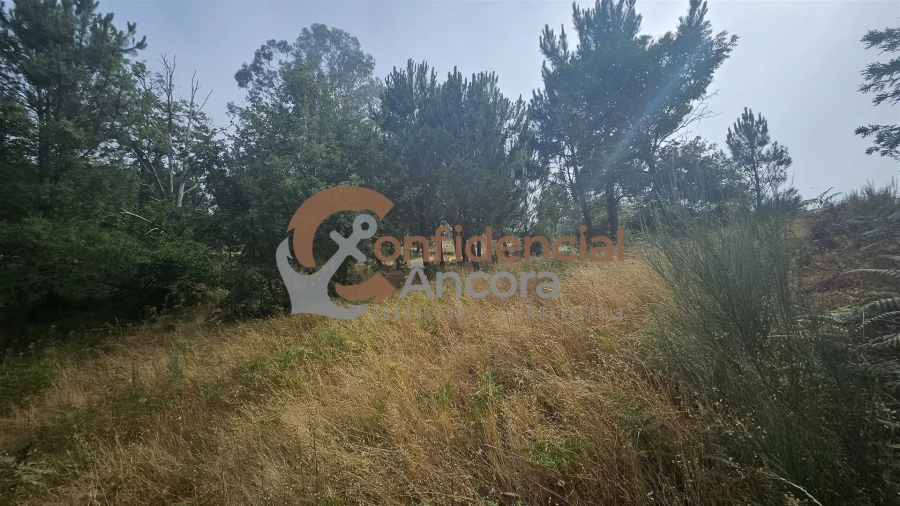 Terreno para Venda em Aldeias e Mangualde da Serra Foto 14