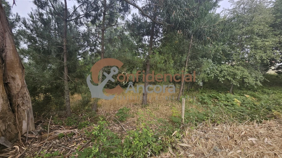 Terreno para Venda em Aldeias e Mangualde da Serra Foto 4