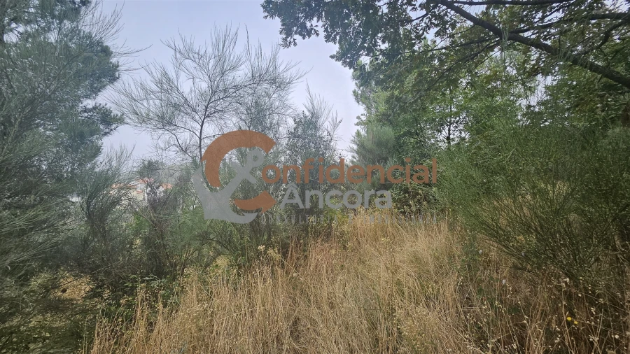 Terreno para Venda em Aldeias e Mangualde da Serra Foto 11