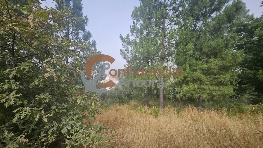 Terreno para Venda em Aldeias e Mangualde da Serra