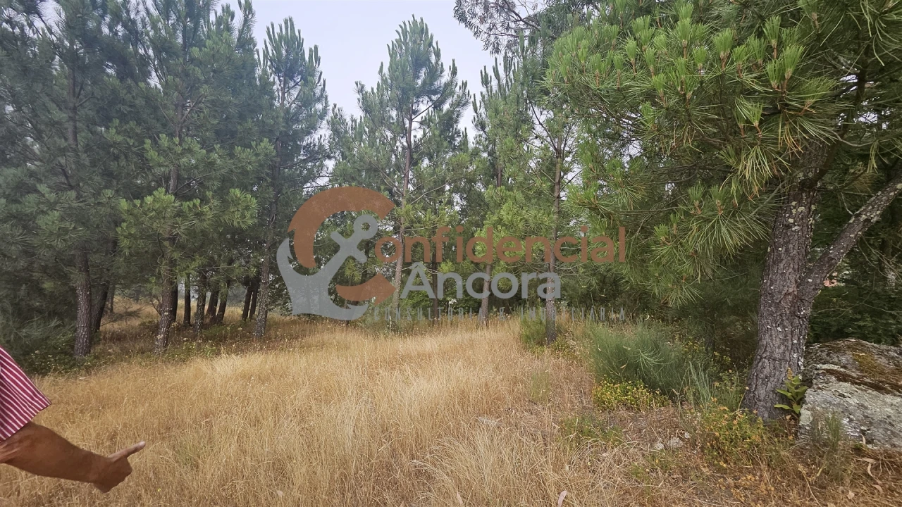 Terreno para Venda em Aldeias e Mangualde da Serra Foto 3