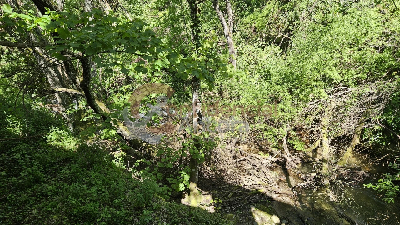 Quinta T0 para Venda em Gouveia (São Pedro e São Julião) Foto 32
