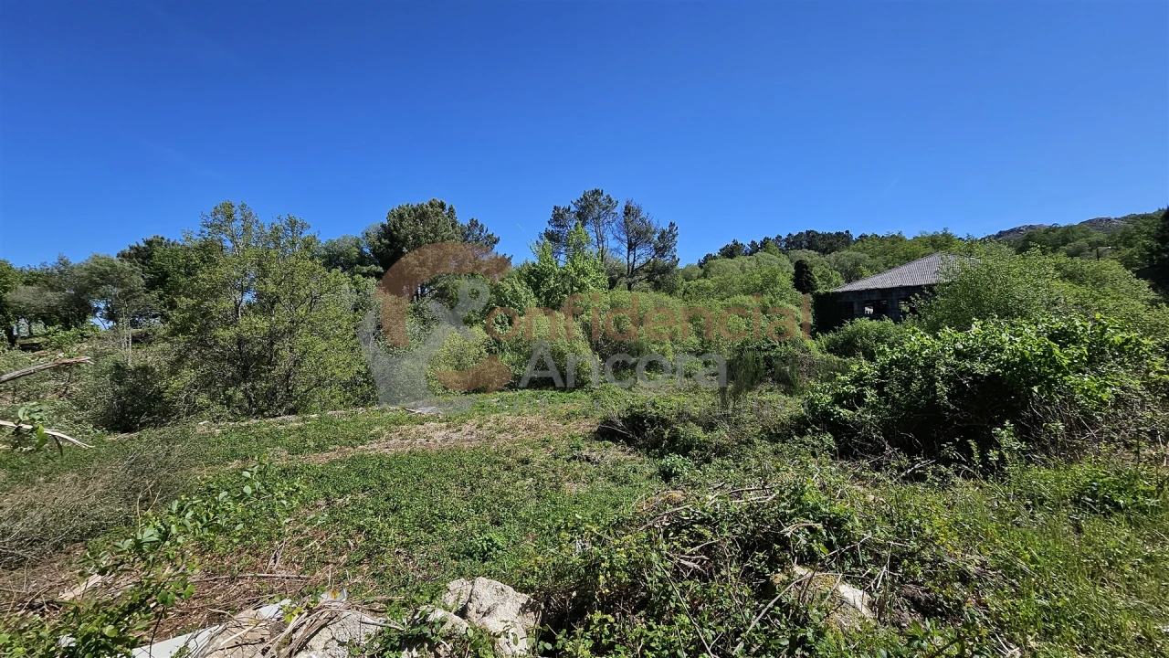 Quinta T0 para Venda em Gouveia (São Pedro e São Julião) Foto 3