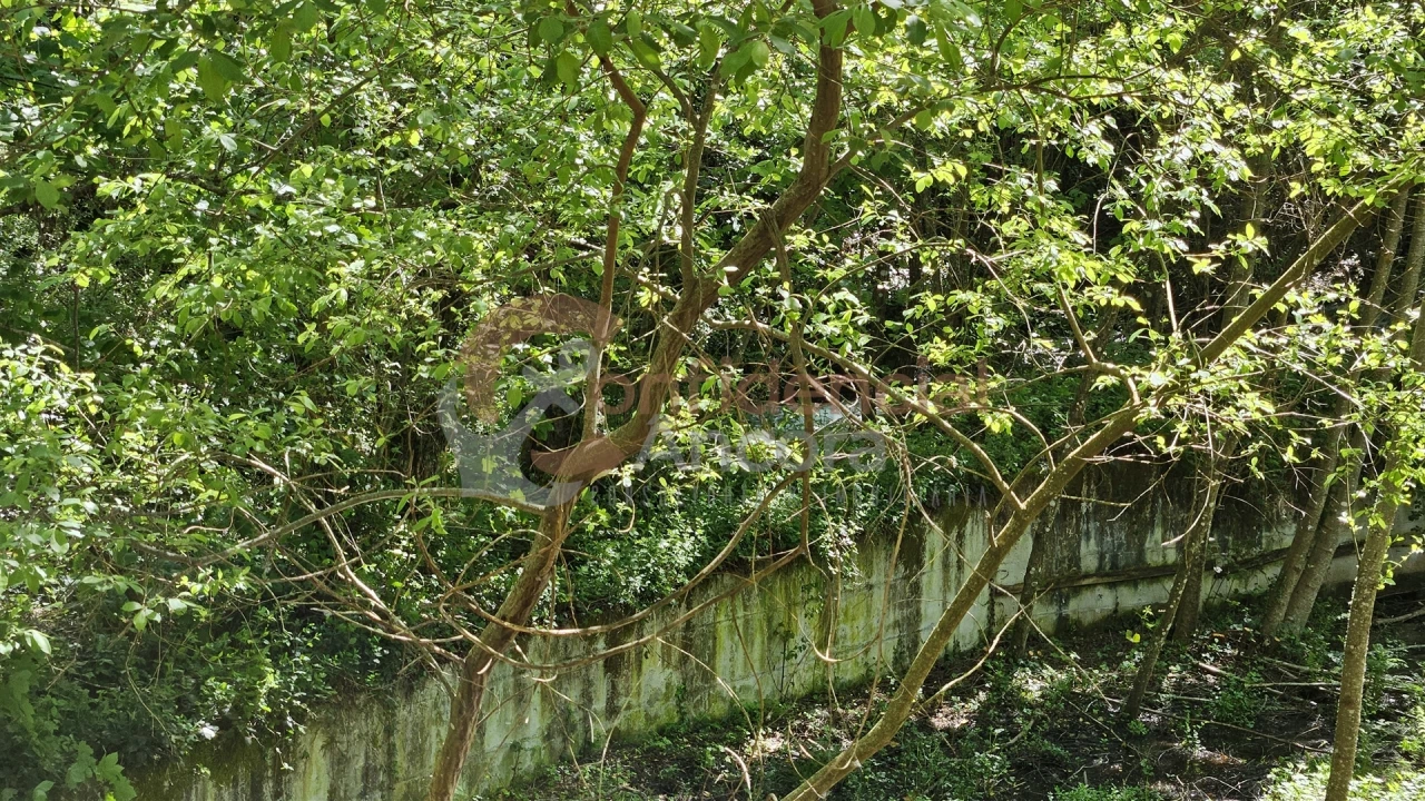 Quinta T0 para Venda em Gouveia (São Pedro e São Julião) Foto 29
