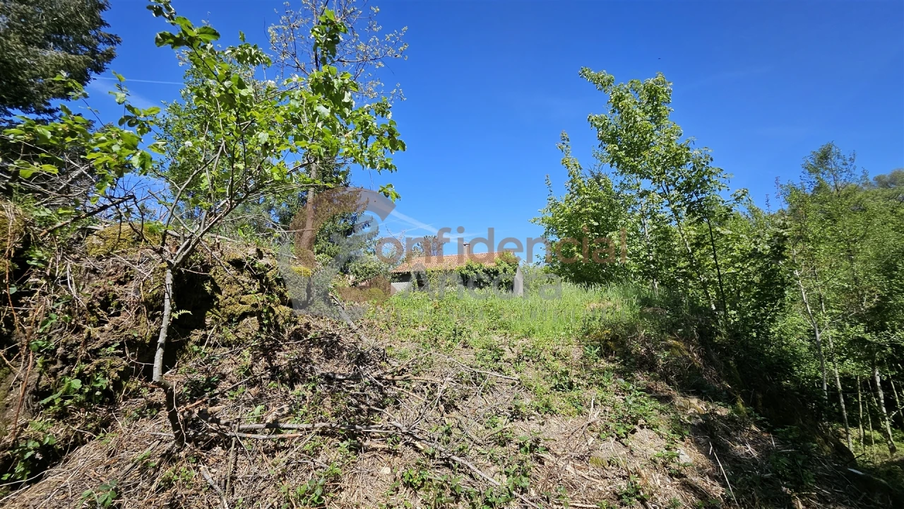 Quinta T0 para Venda em Gouveia (São Pedro e São Julião) Foto 41