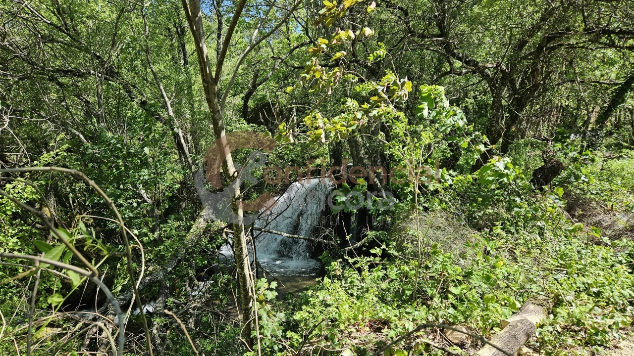 Quinta T0 para Venda em Gouveia (São Pedro e São Julião) Foto 42