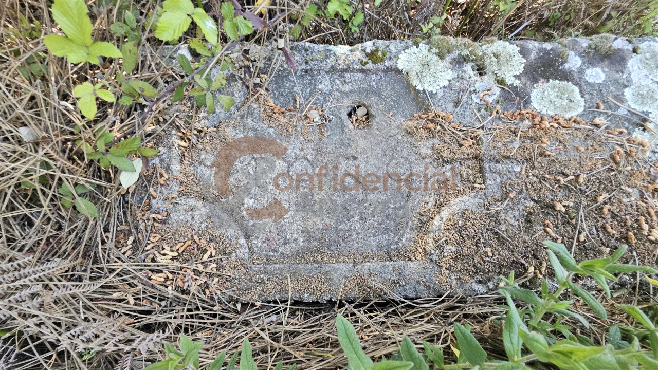 Quinta T0 para Venda em Gouveia (São Pedro e São Julião) Foto 7