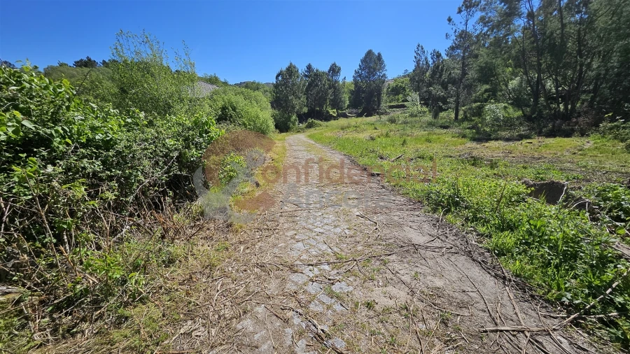 Quinta T0 para Venda em Gouveia (São Pedro e São Julião) Foto 4