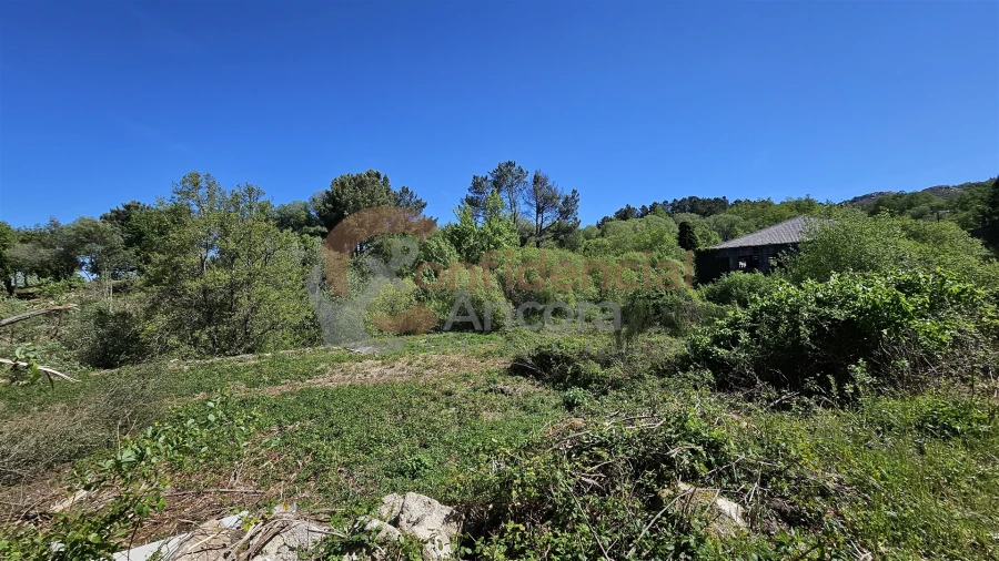 Quinta T0 para Venda em Gouveia (São Pedro e São Julião) Foto 3