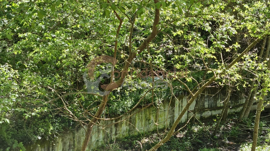 Quinta T0 para Venda em Gouveia (São Pedro e São Julião) Foto 29