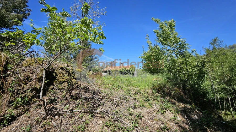 Quinta T0 para Venda em Gouveia (São Pedro e São Julião) Foto 41