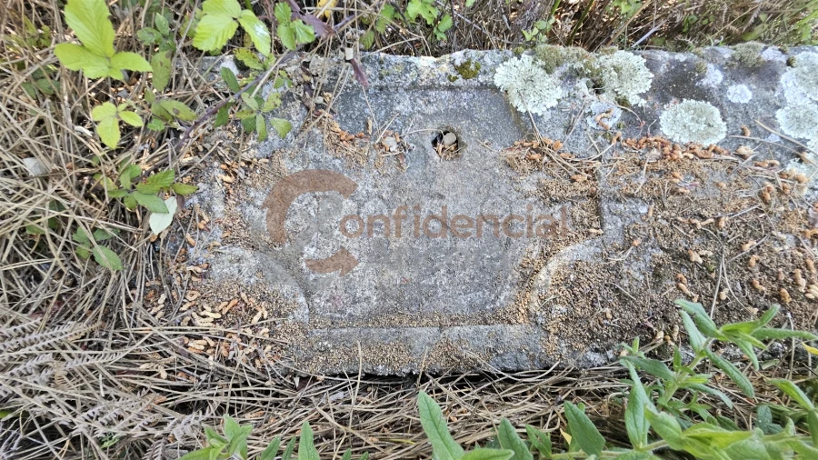 Quinta T0 para Venda em Gouveia (São Pedro e São Julião) Foto 7