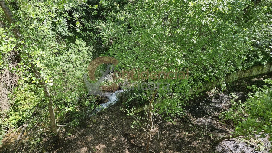 Quinta T0 para Venda em Gouveia (São Pedro e São Julião) Foto 27