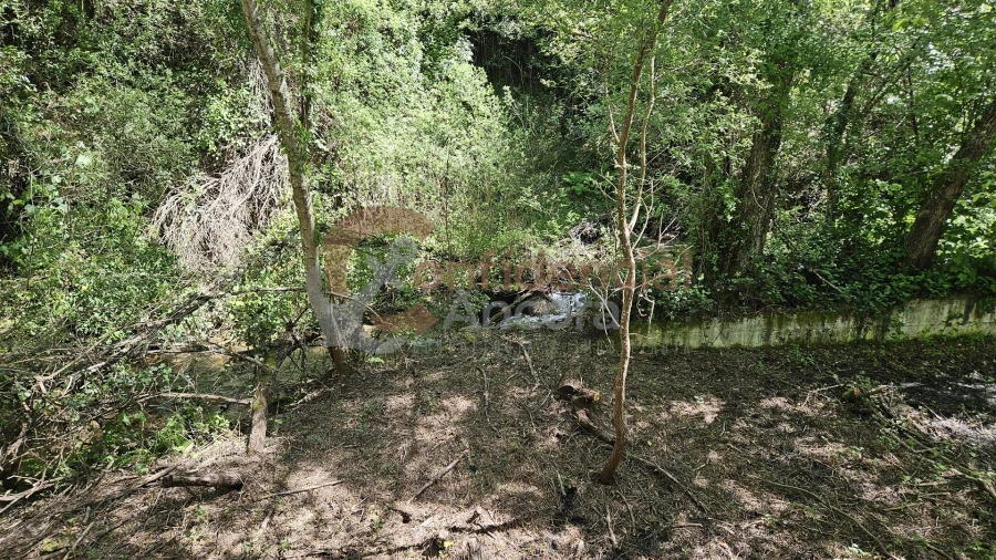 Quinta T0 para Venda em Gouveia (São Pedro e São Julião) Foto 28