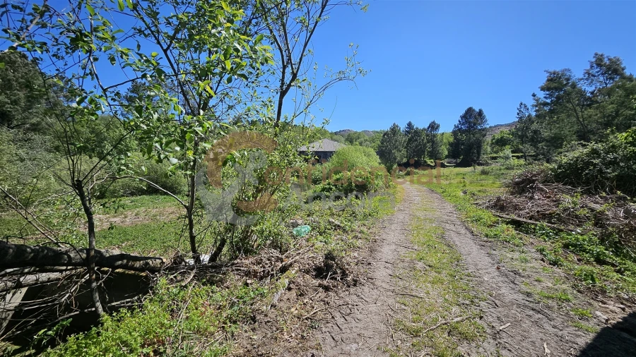 Quinta T0 para Venda em Gouveia (São Pedro e São Julião) Foto 2