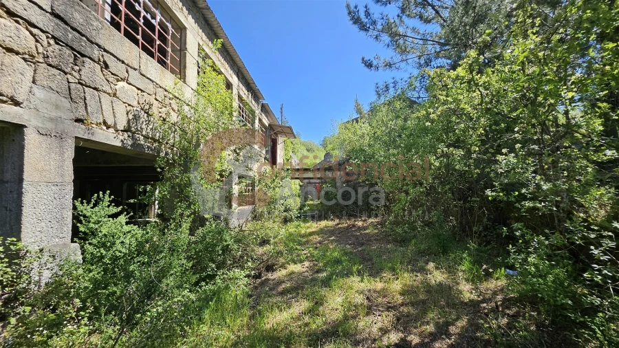 Quinta T0 para Venda em Gouveia (São Pedro e São Julião) Foto 5