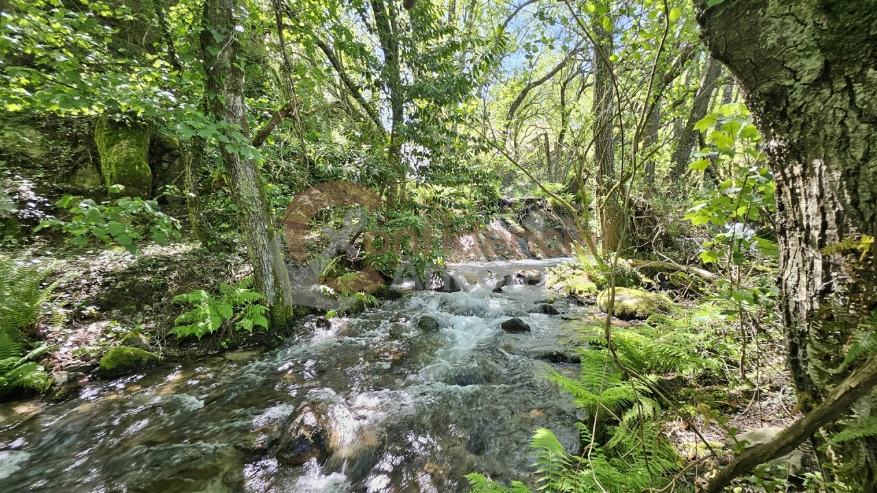 Quinta T0 para Venda em Gouveia (São Pedro e São Julião) Foto 39