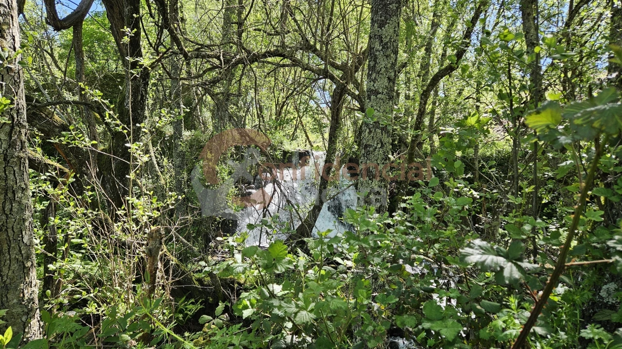 Quinta T0 para Venda em Gouveia (São Pedro e São Julião) Foto 38