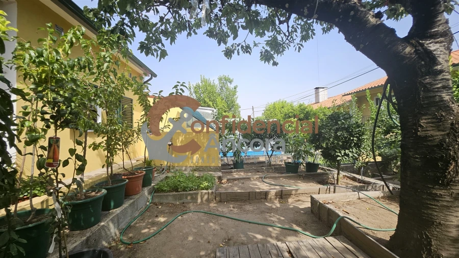 Moradia T3 para Venda em Mangualde, Mesquitela e Cunha Alta Foto 25