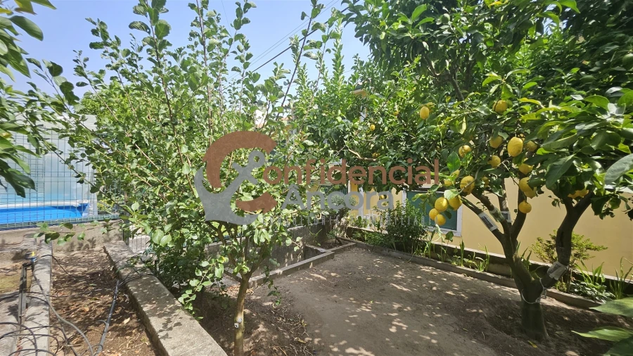 Moradia T3 para Venda em Mangualde, Mesquitela e Cunha Alta Foto 33