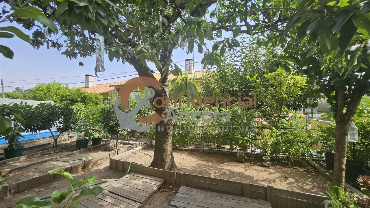 Moradia T3 para Venda em Mangualde, Mesquitela e Cunha Alta Foto 31