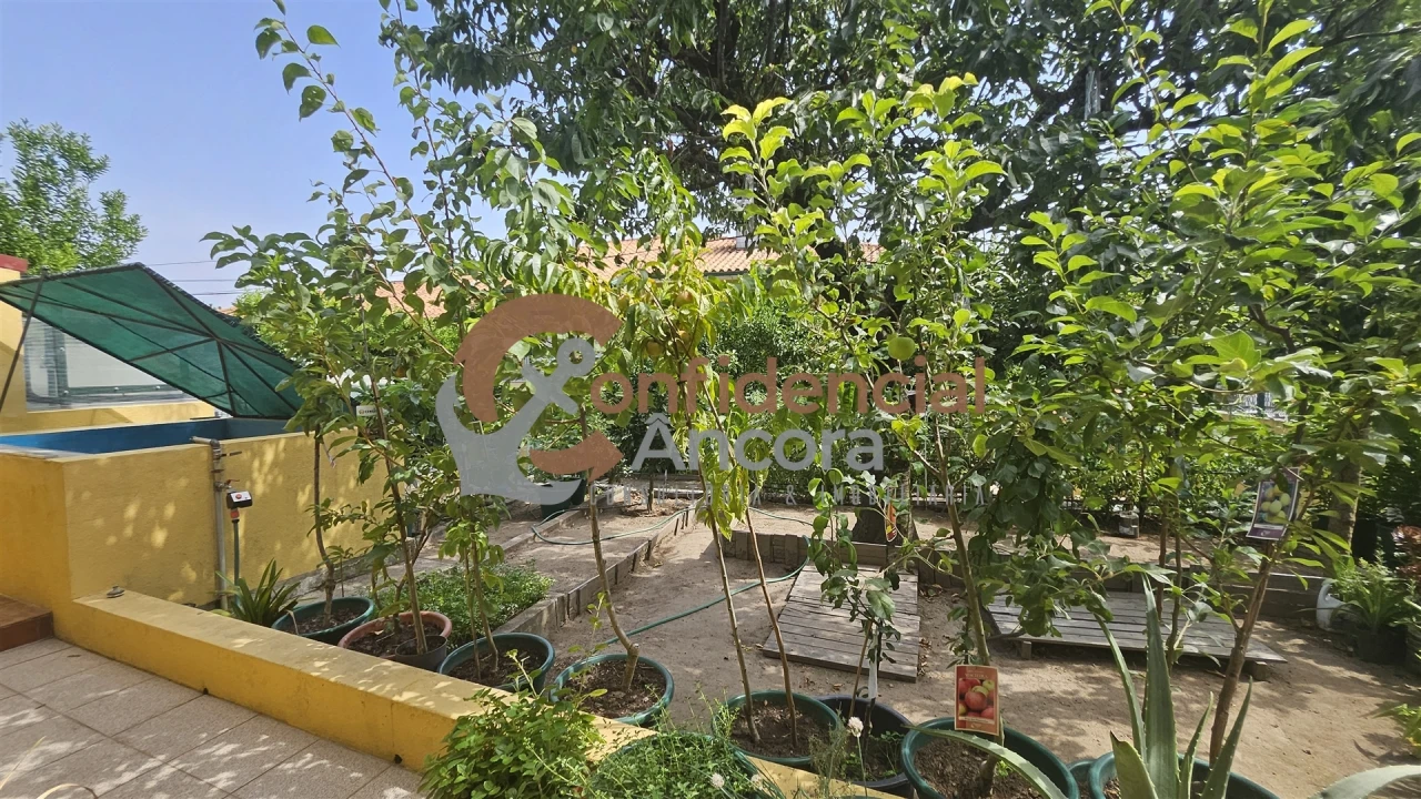 Moradia T3 para Venda em Mangualde, Mesquitela e Cunha Alta Foto 30