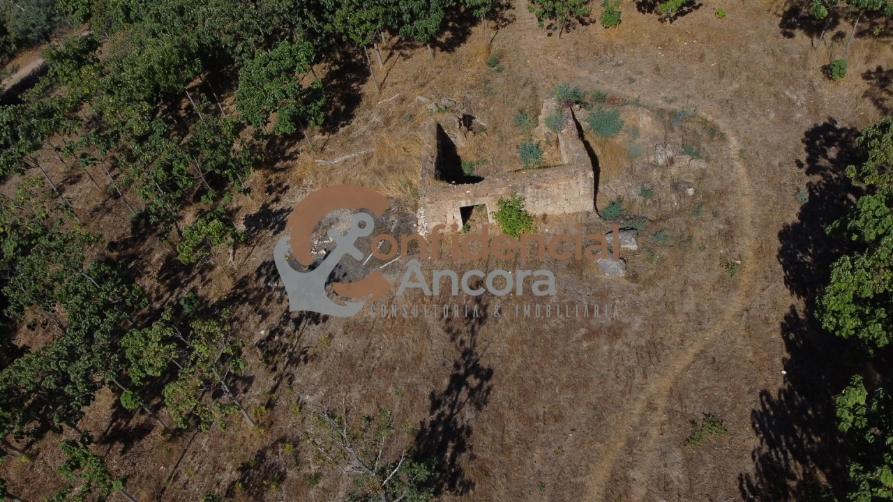 Quinta T0 para Venda em Covas e Vila Nova de Oliveirinha Foto 15