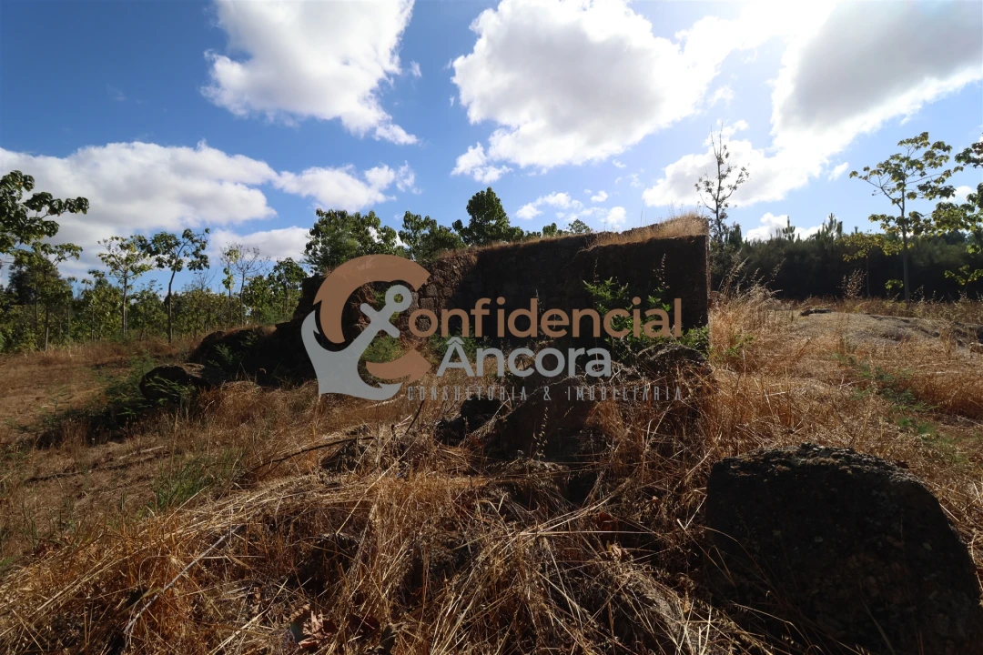 Quinta T0 para Venda em Covas e Vila Nova de Oliveirinha Foto 5