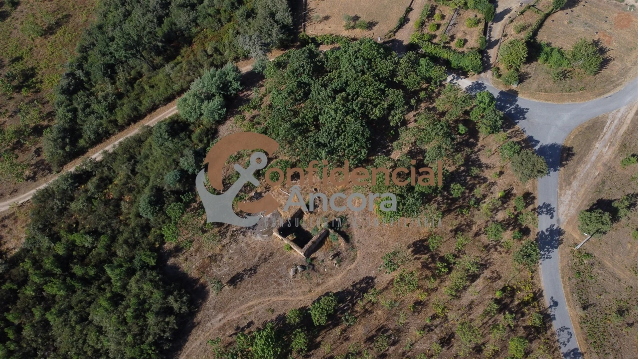 Quinta T0 para Venda em Covas e Vila Nova de Oliveirinha Foto 12