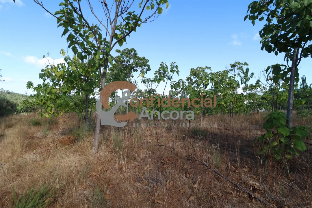 Quinta T0 para Venda em Covas e Vila Nova de Oliveirinha Foto 2