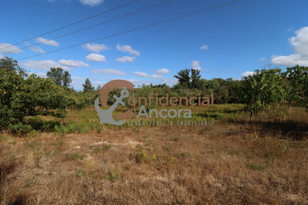 Quinta T0 para Venda em Covas e Vila Nova de Oliveirinha Foto 8