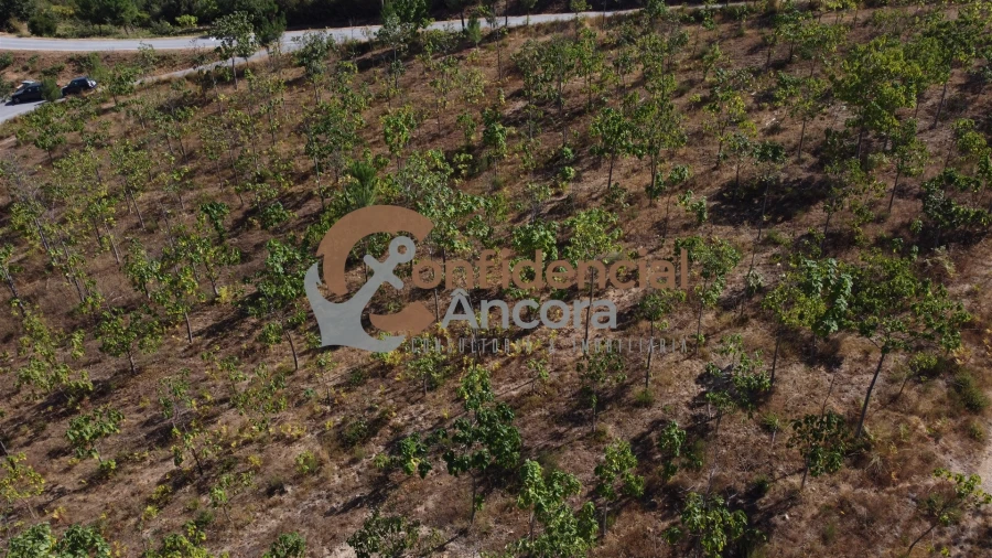 Quinta T0 para Venda em Covas e Vila Nova de Oliveirinha Foto 16