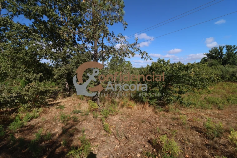 Quinta T0 para Venda em Covas e Vila Nova de Oliveirinha Foto 9