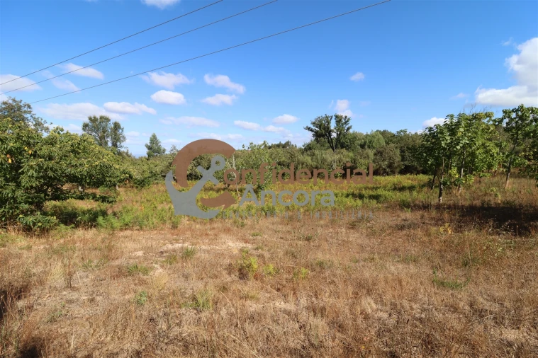 Quinta T0 para Venda em Covas e Vila Nova de Oliveirinha Foto 7