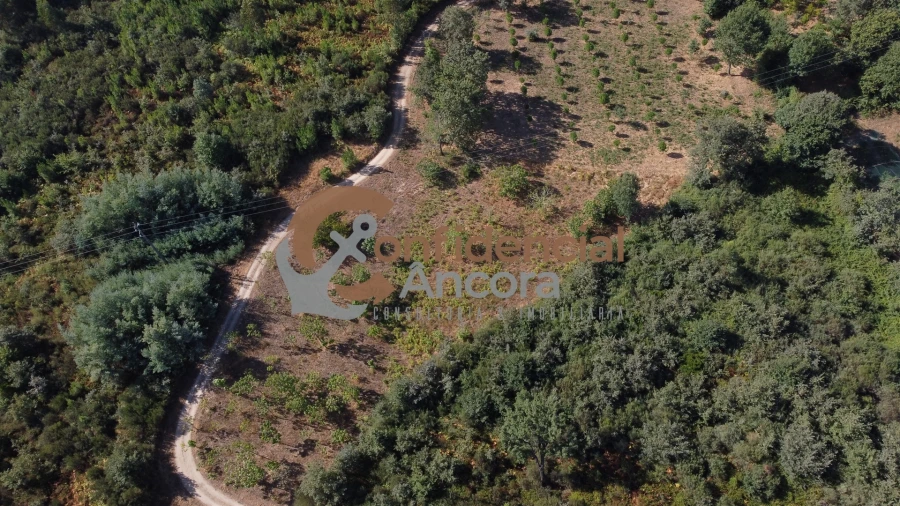 Quinta T0 para Venda em Covas e Vila Nova de Oliveirinha Foto 13