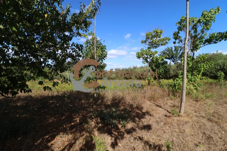 Quinta T0 para Venda em Covas e Vila Nova de Oliveirinha Foto 10