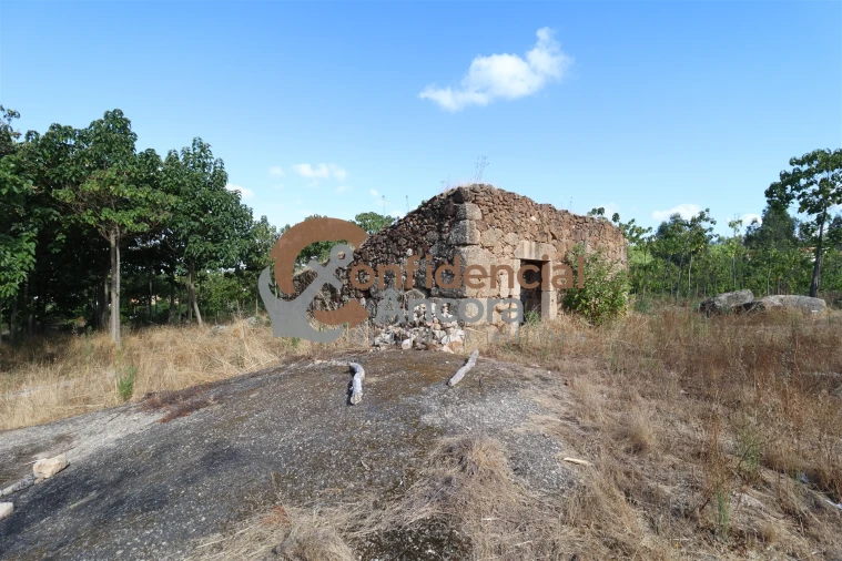 Quinta T0 para Venda em Covas e Vila Nova de Oliveirinha Foto 3
