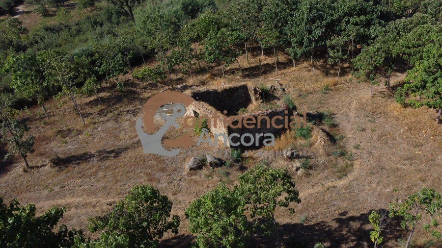 Quinta T0 para Venda em Covas e Vila Nova de Oliveirinha Foto 17