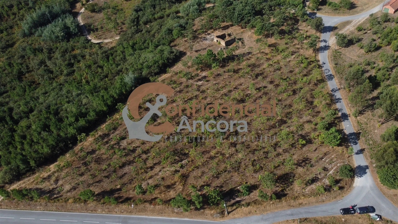 Quinta T0 para Venda em Covas e Vila Nova de Oliveirinha Foto 1