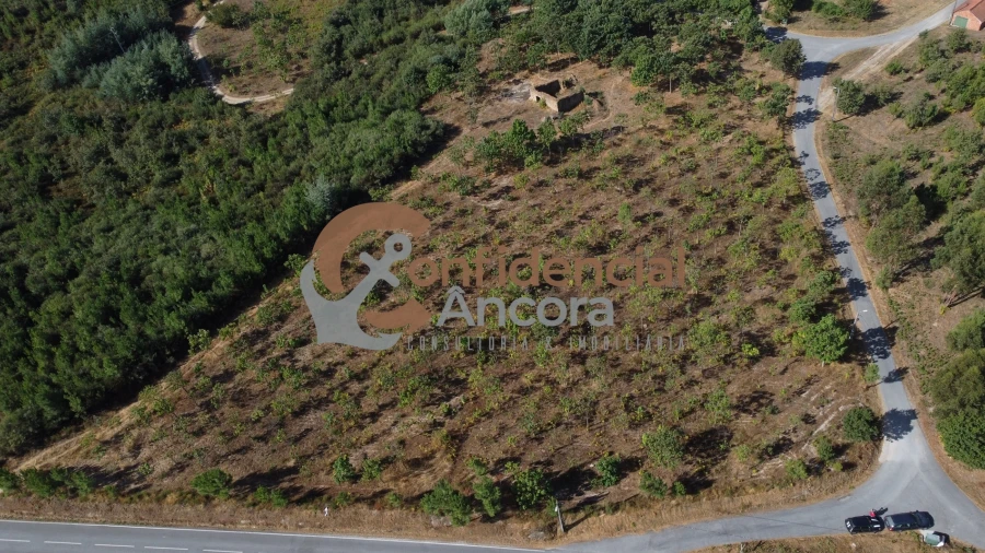 Quinta T0 para Venda em Covas e Vila Nova de Oliveirinha
