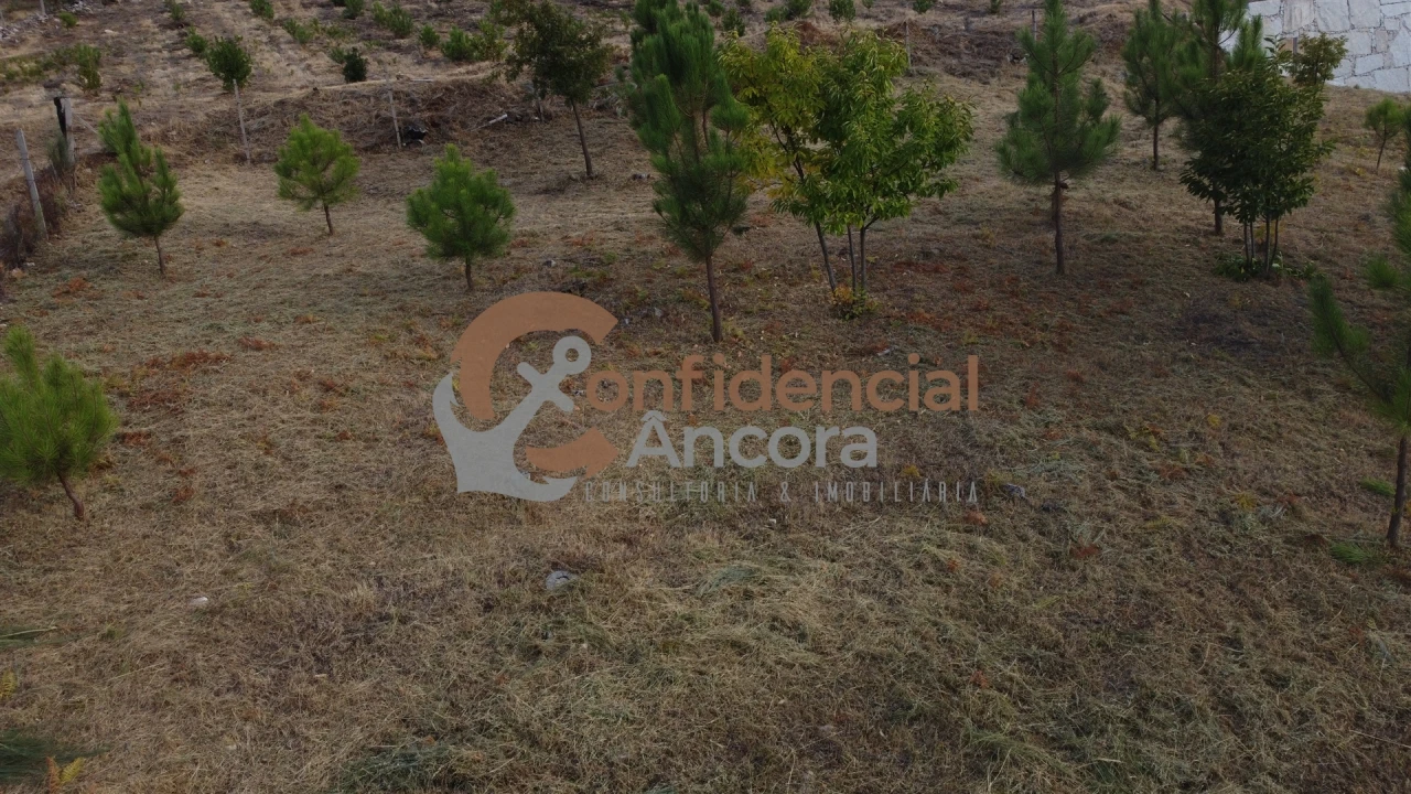 Terreno para Venda em Folgosinho Foto 25