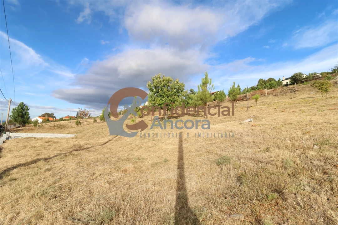 Terreno para Venda em Folgosinho Foto 14