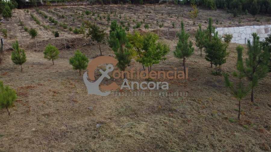 Terreno para Venda em Folgosinho Foto 24